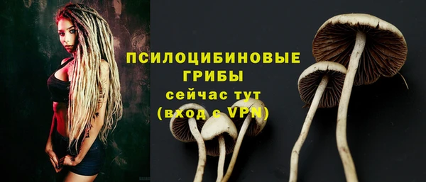сатива Алексин